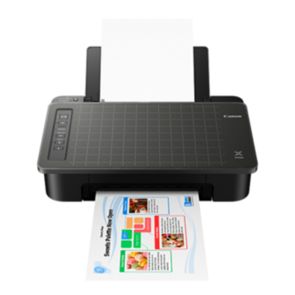 Canon PIXMA TS307a Print Copy Wireless